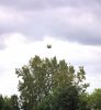 Filename=The_Ball_100.JPG
Filesize=574KB
Dimensions=846x919
Date added=Sep 22, 2006 The_Ball_100.JPG
